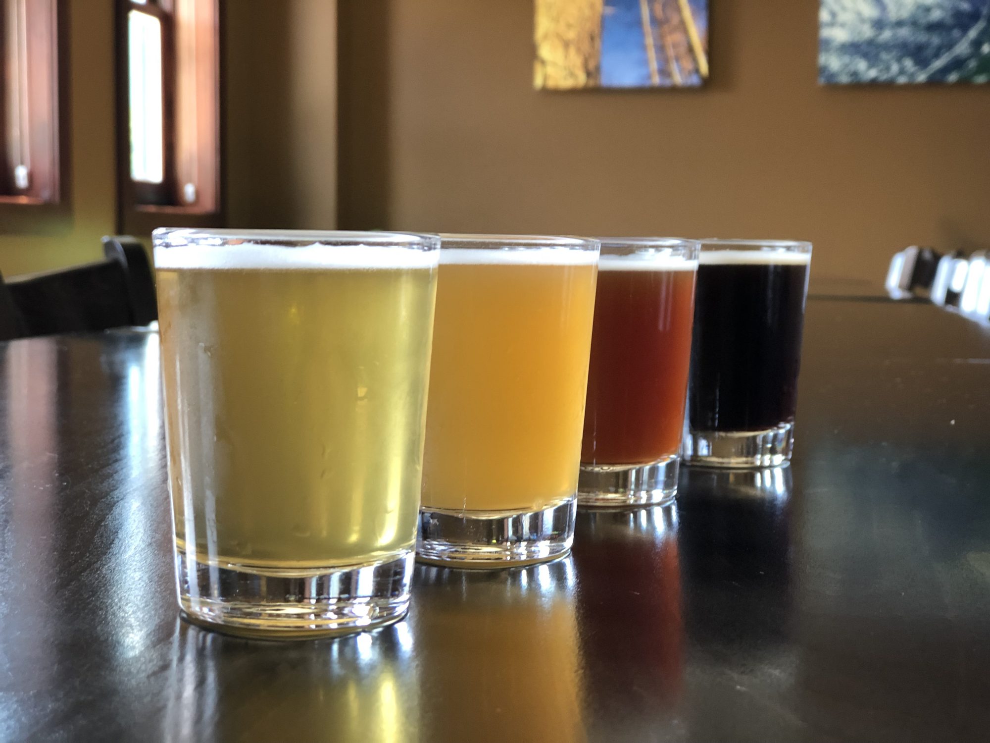 Skagway E-Bike Tour at Skagway Brewing Company - Beer flight tasting