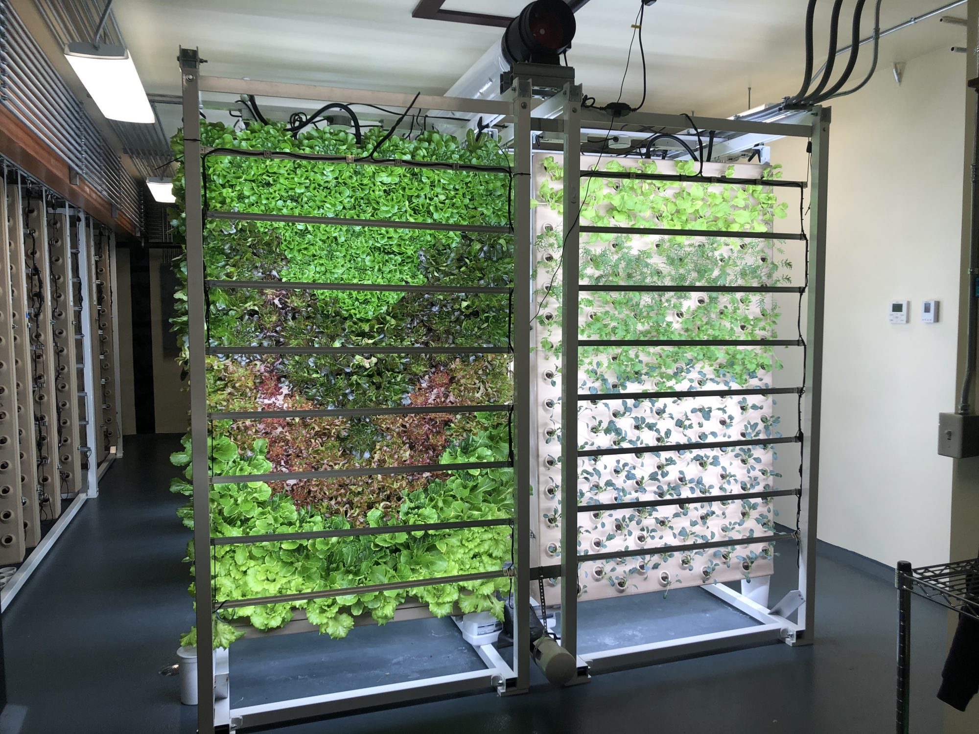 Skagway E-Bike Tour at Skagway Brewing Company aeroponics